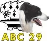 ABC 29